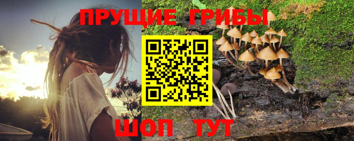 Псилоцибиновые грибы MAGIC MUSHROOMS Корсаков