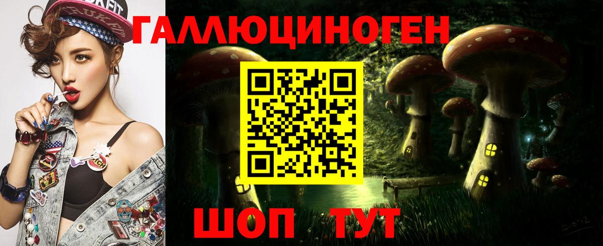 Корсаков  Галлюциногенные грибы MAGIC MUSHROOMS  Вход с VPN 