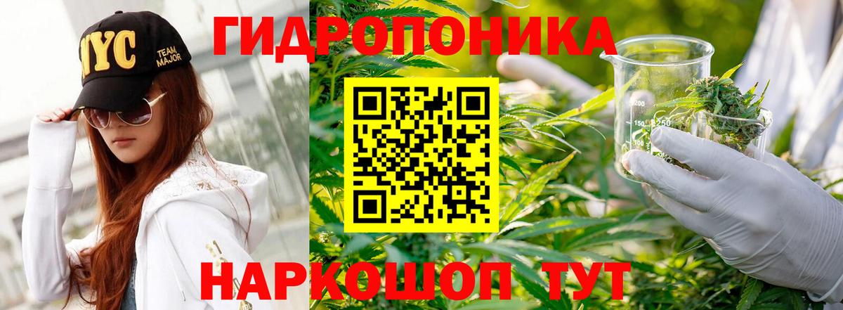 Шишки марихуана индика  Каннабис планчик  Корсаков  Вход с VPN  Канабис план 